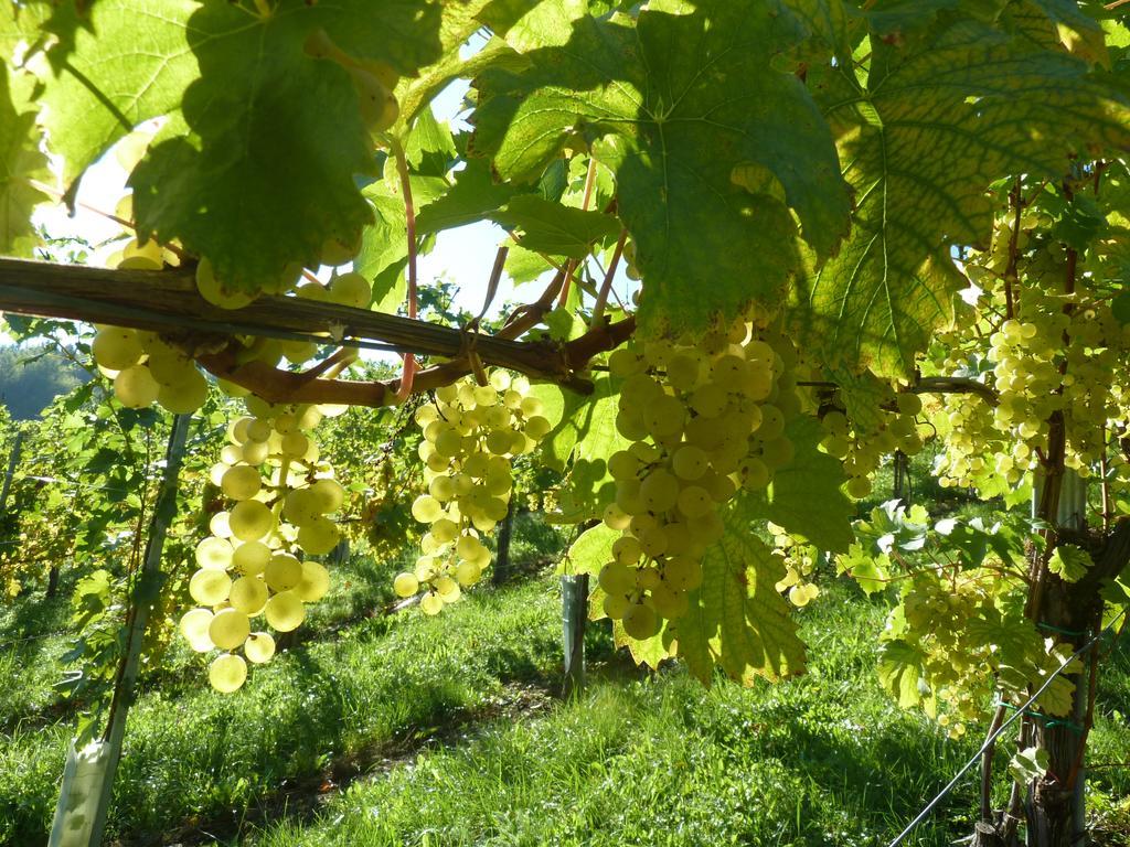 Weingut- Gaestezimmer Marko Leutschach Exterior foto
