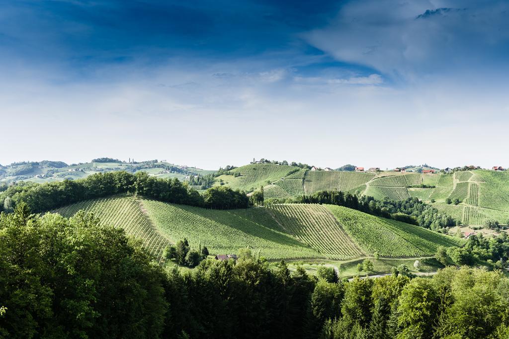 Weingut- Gaestezimmer Marko Leutschach Exterior foto