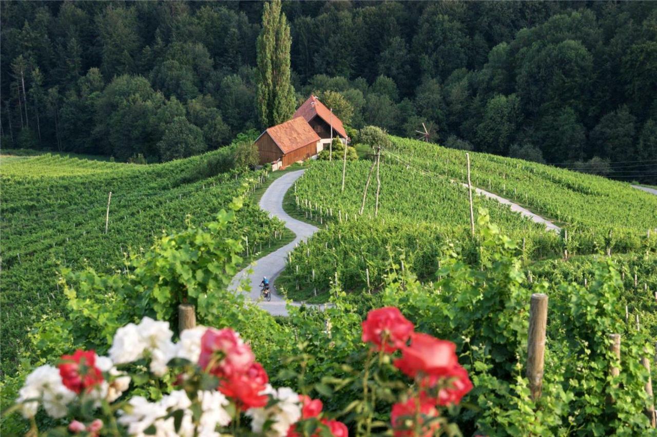 Weingut- Gaestezimmer Marko Leutschach Exterior foto