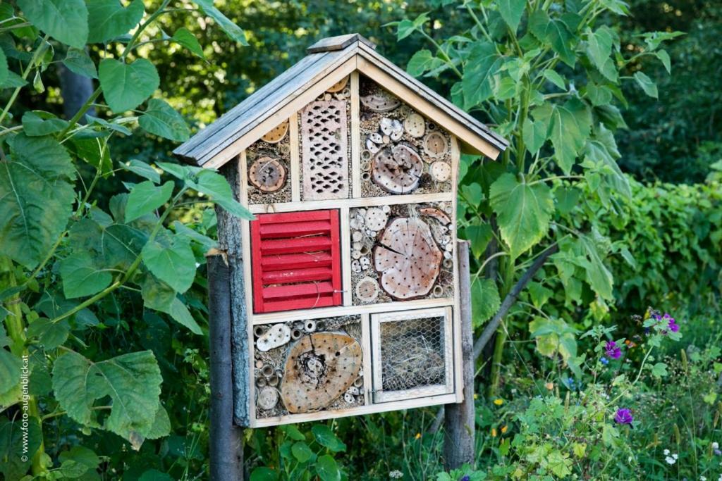 Apartamento Weingut- Gaestezimmer Marko Leutschach Exterior foto